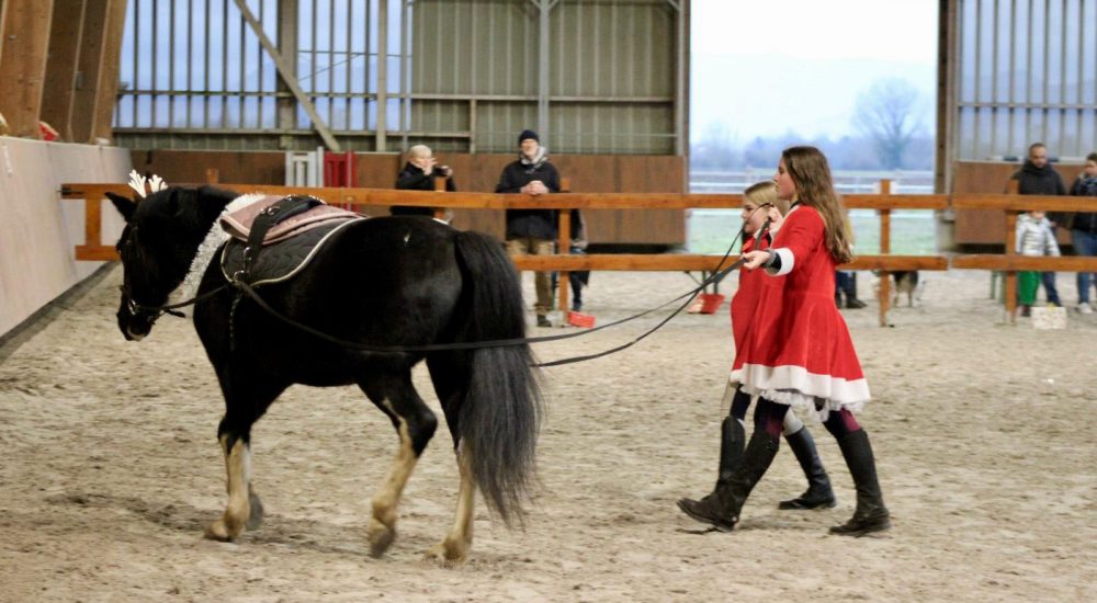 photo-noel-poney-filles-deux